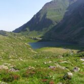 Paysage montagnard avec un lac en contrebas et des fleurs sauvages