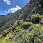 Paysage sur l'île de Madère avec un sentier de randonnée sur la droite, le flanc de la montagne est couvert de végétation
