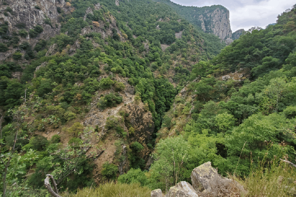 Paysage très boisé dans la zone entre Merens les Vals et Vernet-les-Bains