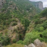 Paysage très boisé dans la zone entre Merens les Vals et Vernet-les-Bains