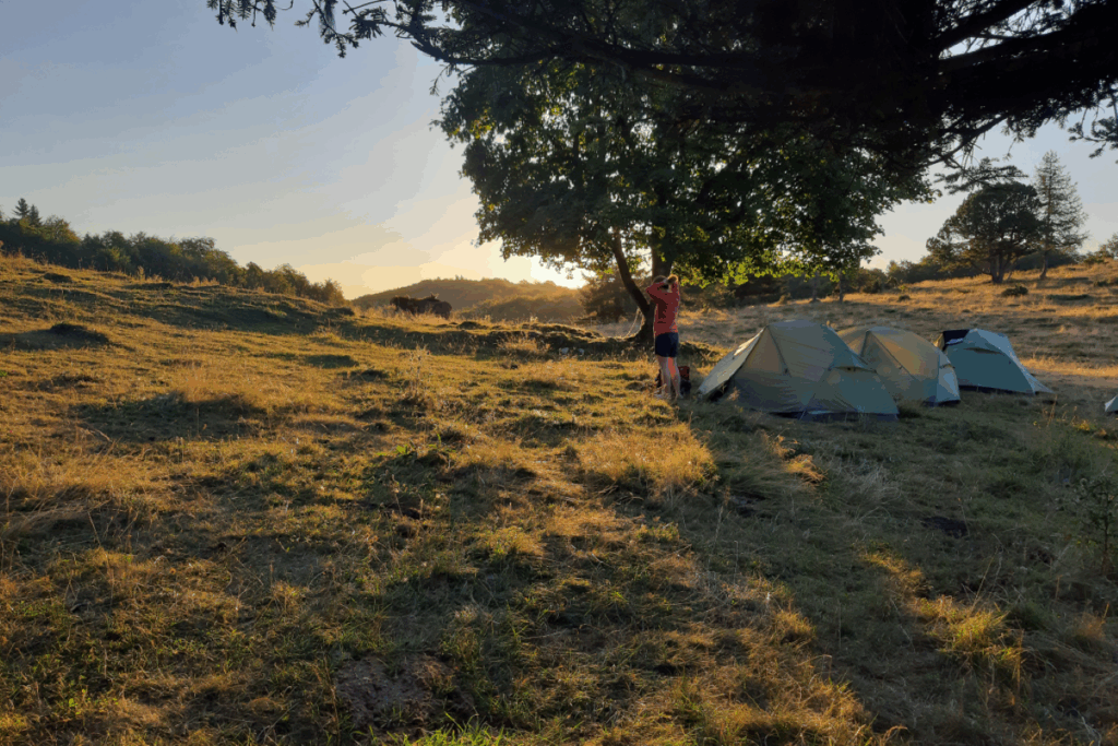 Prise de vue au coucher du soleil d'un camp en tente lors d'un séjour familial avec des randonnées et des ânes dans les Pyrénées.