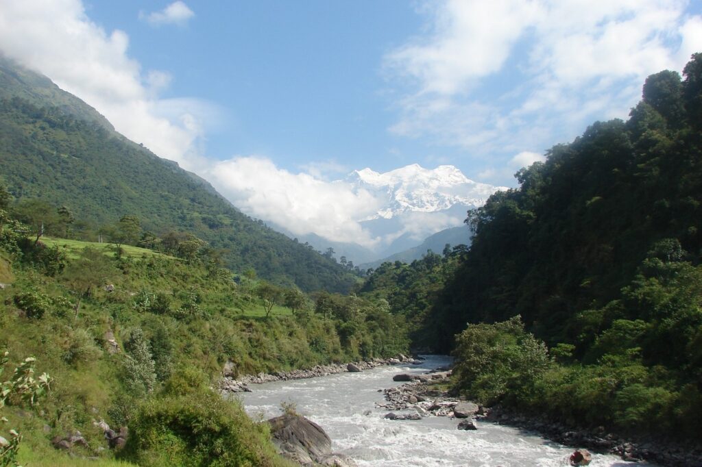 Paysage de montagne avec en fond des sommets et de part et d'autre d'un sentier on retrouve des flanc de montagne boisés et verdoyants