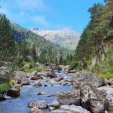 Paysage de montagne avec un cours d'eau et de pierre qui descend d'un sommet au loin, ce cours d'eau est encadré d'arbres divers