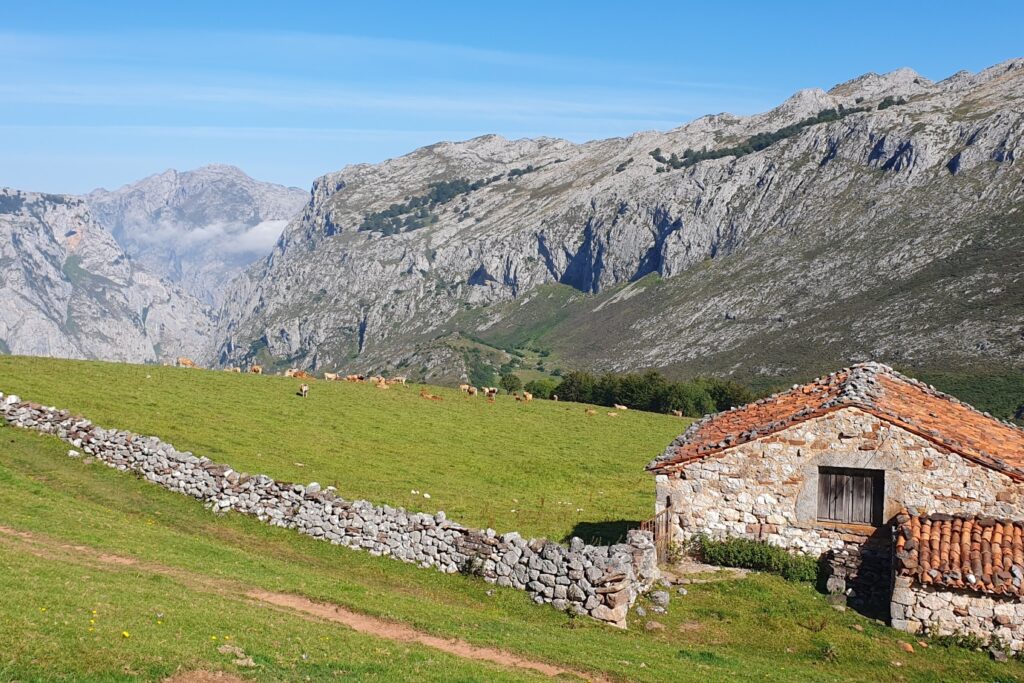 Paysage montagnard avec au premier plan une étendue d'herbe verte d'été et une maison en pierre, et au second plan des montagnes