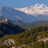 paysage estival avec une vallée en contrebas et en arrière-plan des sommets enneigés