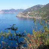 Paysage dans les Cinque terre avec la côte et la mer. Sur la droite de l'image, on retrouve les montagnes