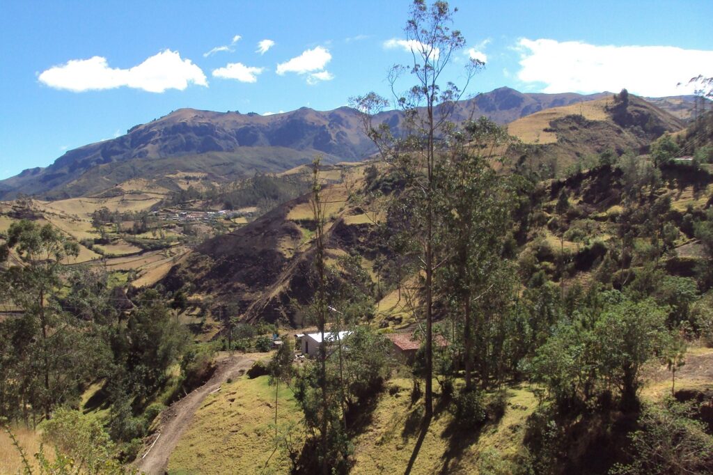 Paysage montagnard avec des sommets ainsi que des arbres en Eqauteur