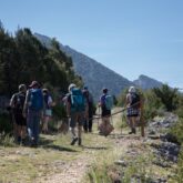 Groupe de randonneurs se dirigeant sur un sentier à flanc de montagne.