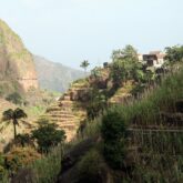Paysage tout suspendu avec des maisons et des constructions à flanc de montagne ainsi qu'une structure de culture en terrasse