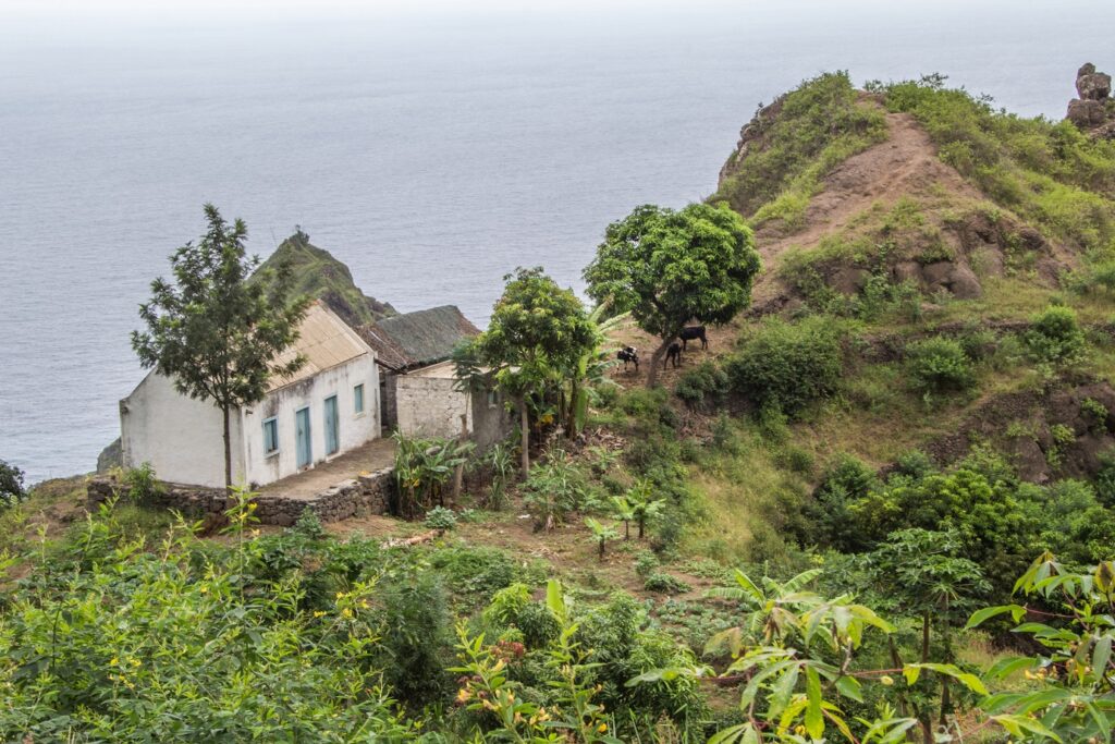 Paysage mêlant la mer et la montagne au Cap-Vert avec une maison en bord de mer et des arbres, au Cap-Vert
