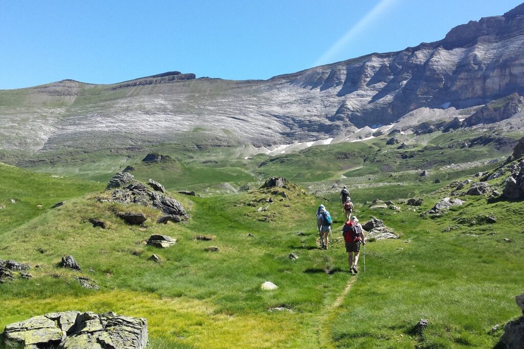 Paysage de montagne avec des sommets en fond et de la végétation au premier plan