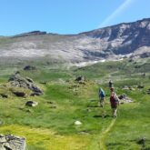 Paysage de montagne avec des sommets en fond et de la végétation au premier plan