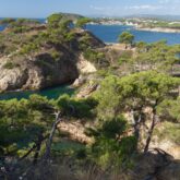 Paysage maritime avec des arbres ainsi que la mer en contrebas et des reliefs rocheux