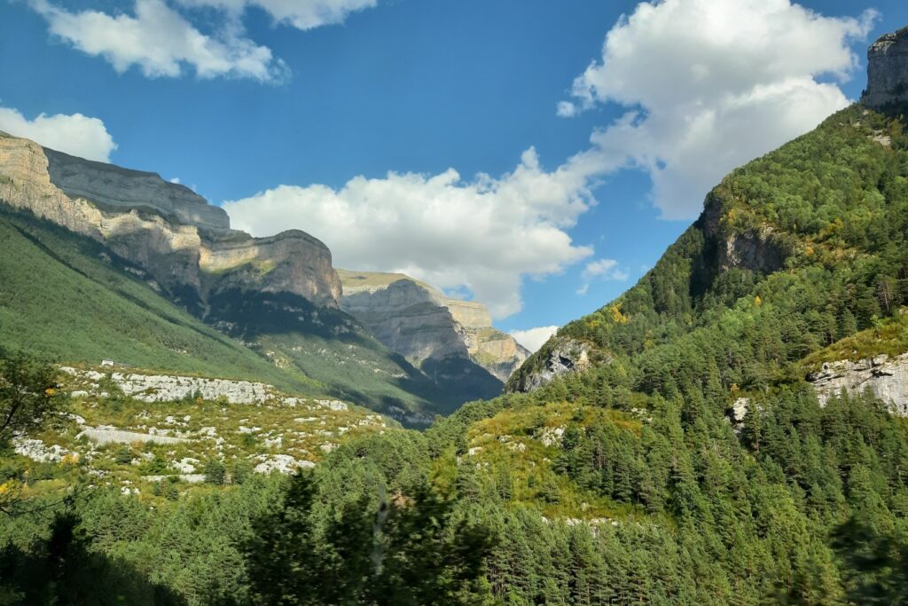 Paysage estival de montagne avec des arbres au premier plan et des sommets à l'arrière