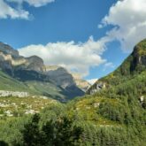 Paysage estival de montagne avec des arbres au premier plan et des sommets à l'arrière