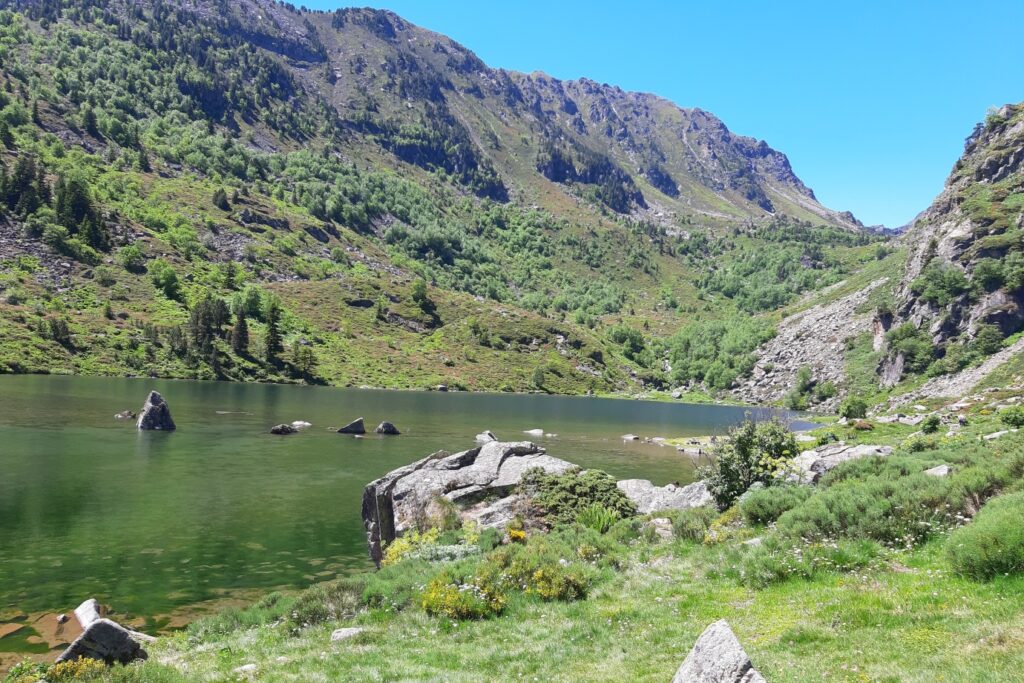 Lac de montagne entouré de sommets et de végétation