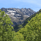 Paysage de montagne avec un sommet enneigé au fond et des forêts au premier plan, paysage estival