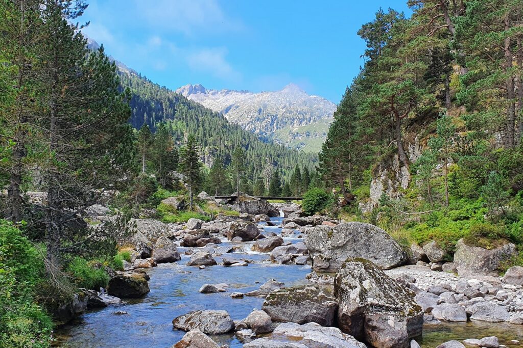 Cours d'eau à Cauterets qui traverse la forêt en la divisant en deux, dans le fond on aperçoit des sommets