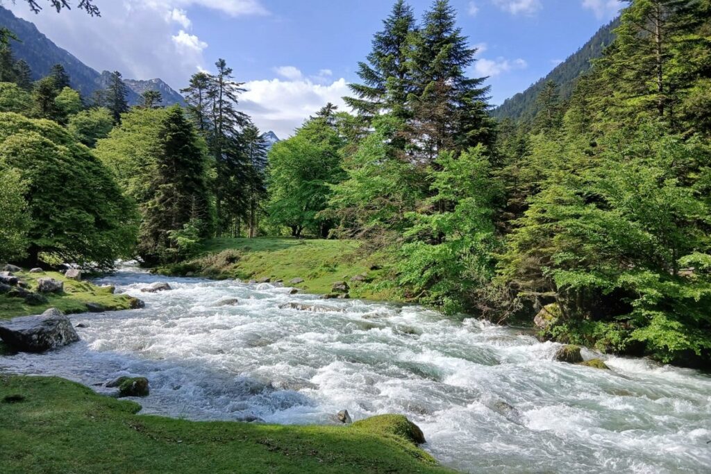 Paysage de montagne avec un court d'eau en milieu d'image encadré d'arbres