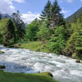 Paysage de montagne avec un court d'eau en milieu d'image encadré d'arbres
