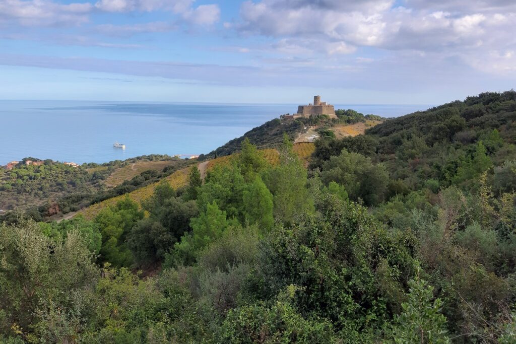 Paysage estival entre Collioure et Cadaques avec en fond un fort et en fond la mer