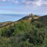 Paysage estival entre Collioure et Cadaques avec en fond un fort et en fond la mer