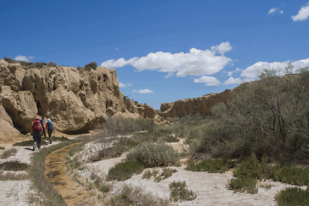 Groupe de randonneurs accompagné de leur guide en train de marcher sur un sentier à côté d'un cours d'eau dans les bardenas