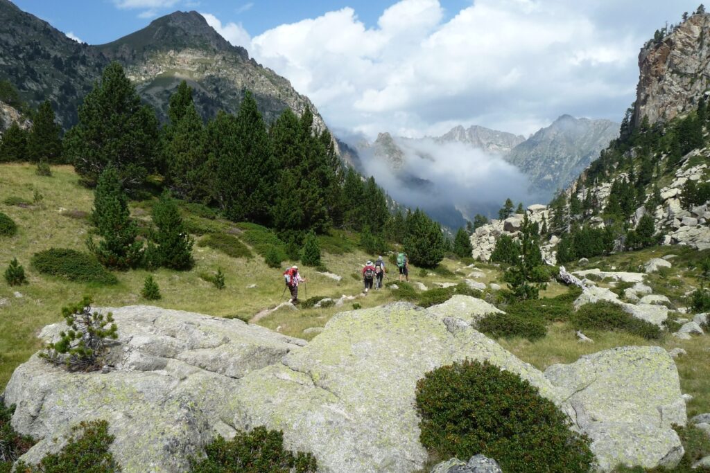 Montagne avec une vallée et une forêt en contrebas dans les encartais