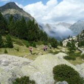 Montagne avec une vallée et une forêt en contrebas dans les encartais