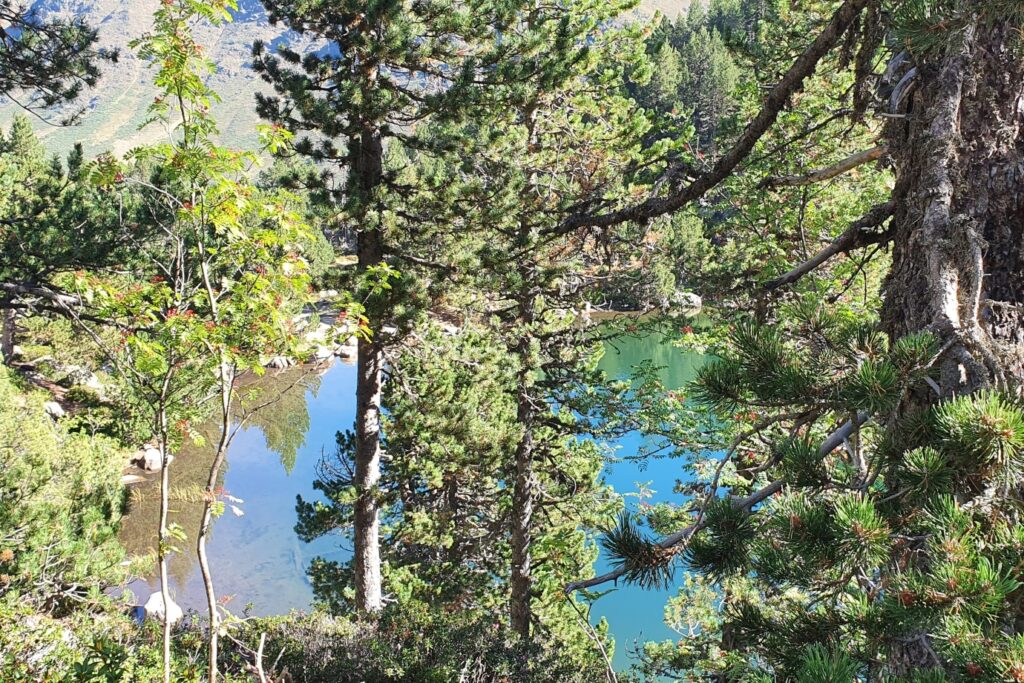 Lac de montagne observé à travers les arbres d'une forêt des Encantats lors d'un séjour de découverte de ce domaine.