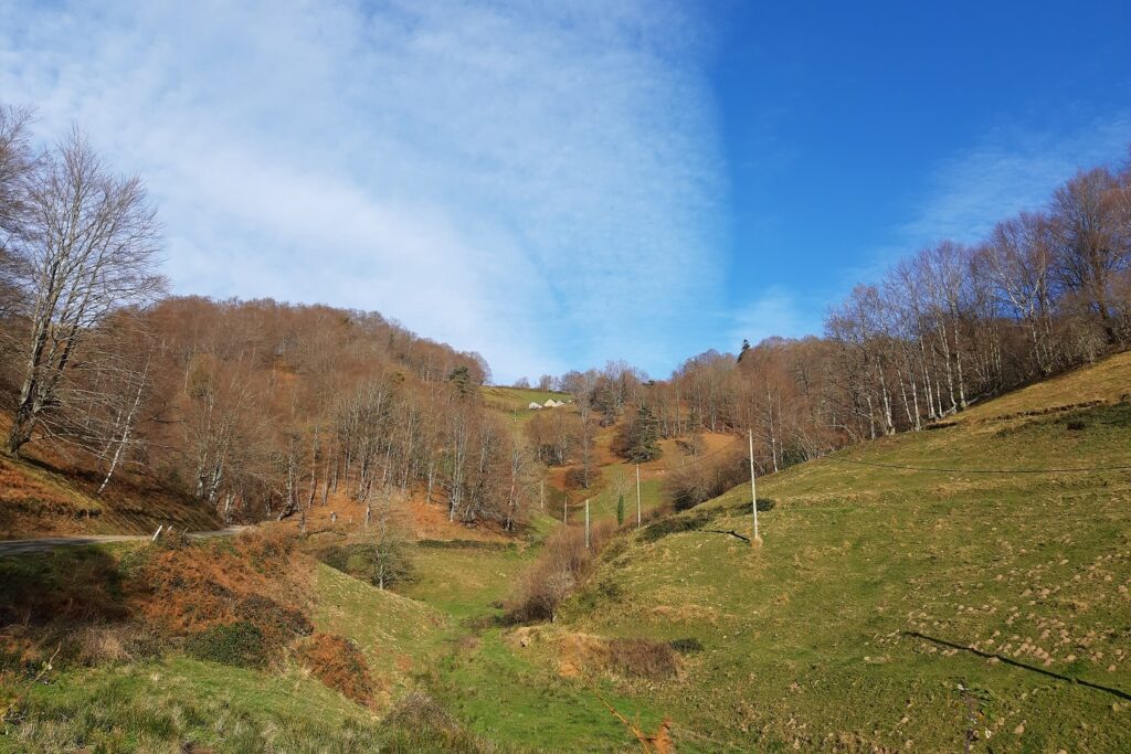 Paysage de montagne avec en fond une forêt automnale et au premier plan une clairière