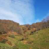 Paysage de montagne avec en fond une forêt automnale et au premier plan une clairière
