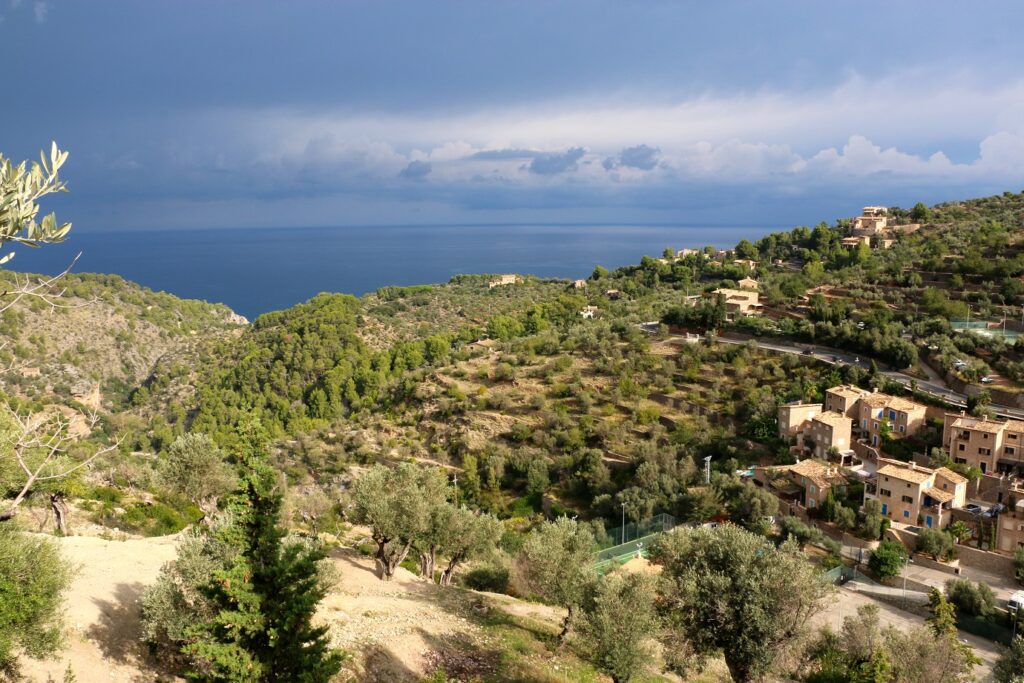 Prise de vue de la côte depuis les terres en hauteur avec une large étendue d'arbres suivie de la mer