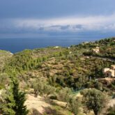 Prise de vue de la côte depuis les terres en hauteur avec une large étendue d'arbres suivie de la mer