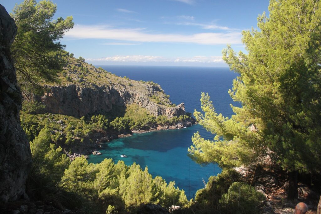 Paysage côtier des Baléares avec une crique entourée d'arbres et de végétation