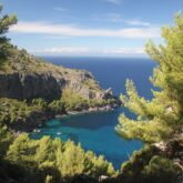 Paysage côtier des Baléares avec une crique entourée d'arbres et de végétation