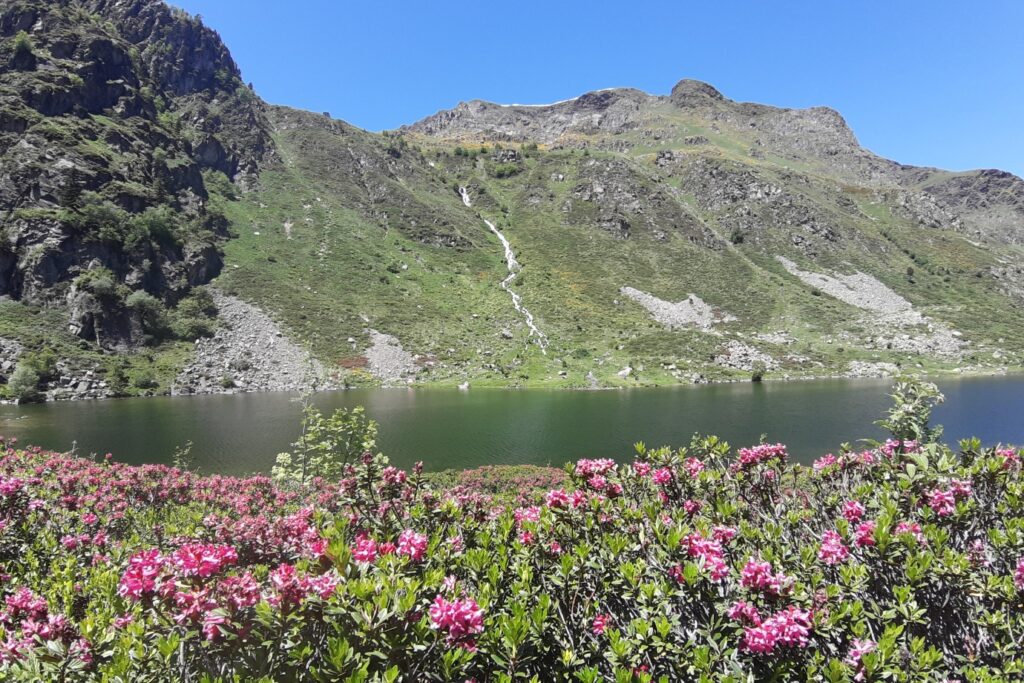 Paysage montagnard estival observé lors d'un séjour en liberté, retrouvance en Vicdessos en liberté