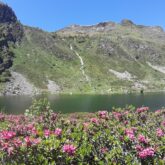 Paysage montagnard estival observé lors d'un séjour en liberté, retrouvance en Vicdessos en liberté