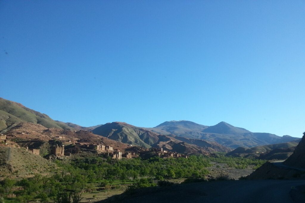 Paysage estival au Maroc avec au premier plan de la végétation et à l'arrière-plan des sommets