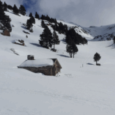 Paysage enneigé d'un flanc de montagne avec des arbres et une maison en pierre recouverte de neige, et des traces de randonneurs en raquettes.
