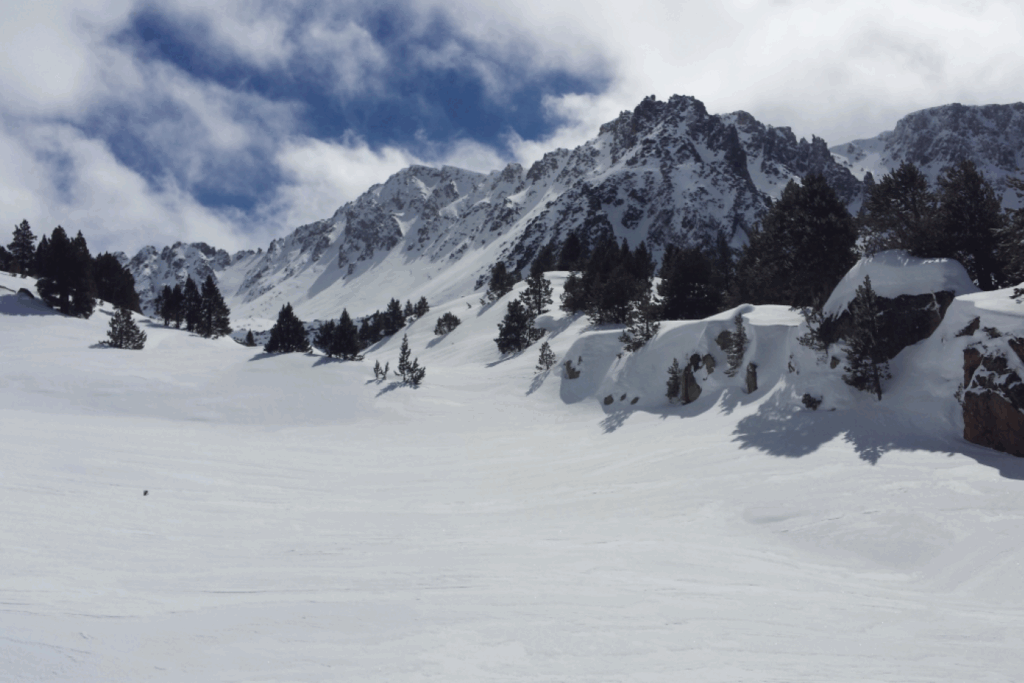 paysage de montagne avec de la neige et des arbres enneigés