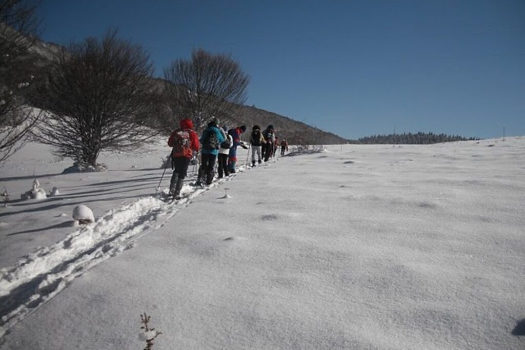 Groupe de marcheurs en raquettes en train de marcher vers le sommet d'une montagne