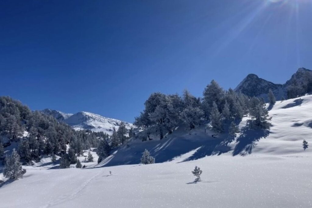 Paysage blanc de neige en montagne, en hiver lors de randonnées en raquettes accompagnées d'un guide.