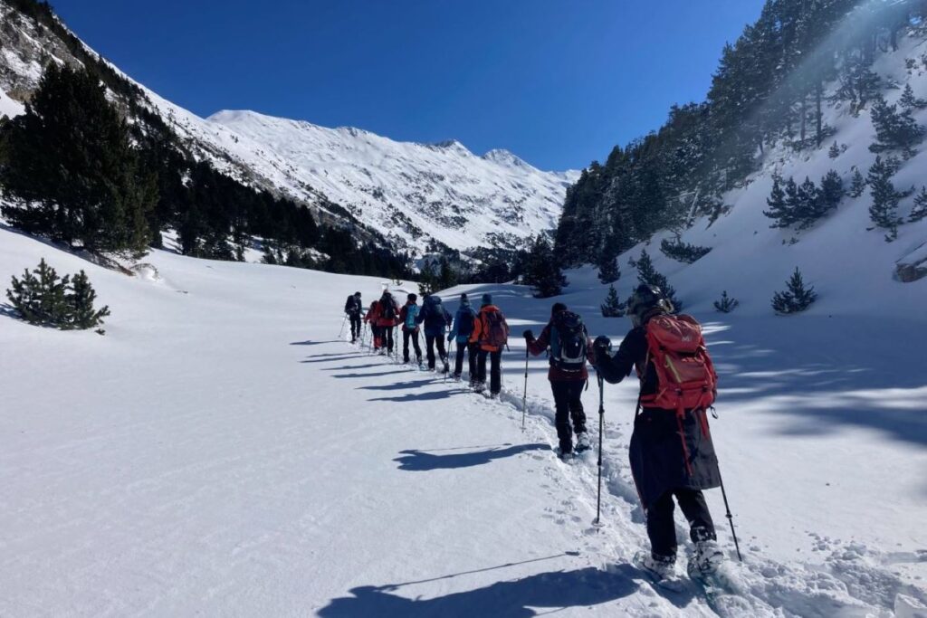 groupe de randonneurs en raquettes qui s'avancent sur un chemin de montagne entouré de montagnes et de forêts