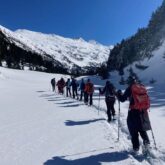 groupe de randonneurs en raquettes qui s'avancent sur un chemin de montagne entouré de montagnes et de forêts