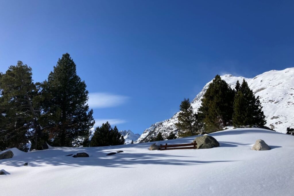 Paysage de montagne recouvert de neige avec des arbres et un ciel bleu