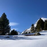 Paysage de montagne recouvert de neige avec des arbres et un ciel bleu