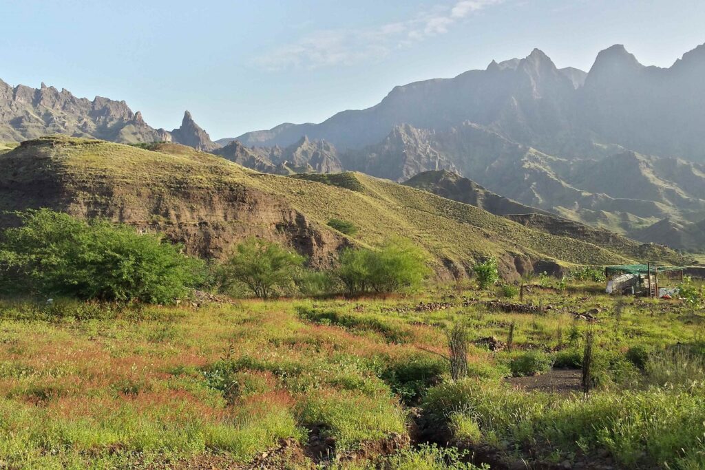Paysage de montage éclairé par le soleil avec des champs entiers de végétation