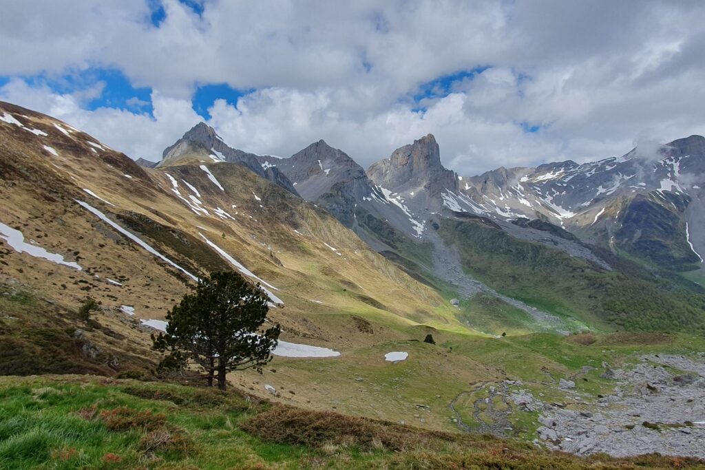 Paysage de montagne avec en fond des sommets enneigés et un plateau au pied de ces derniers