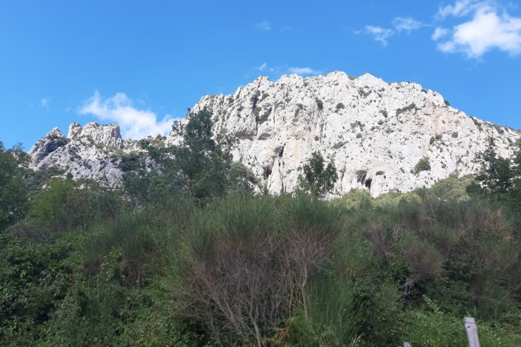 Paysage de l'Ayde avec une falaise en pierre claire qui surplombe une forêt